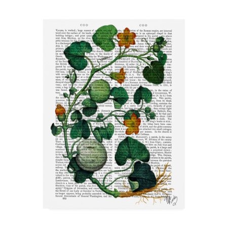 Trademark Fine Art Fab Funky 'Squash Vine 2' Canvas Art, 18x24 WAG12308-C1824GG